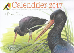 Calendrier / Kalender / Calendar - 2017 - Cigogne Noire / Zwarte Ooievaar / Schwarzstorch / Black Stork - André Buzin - 1985-.. Pájaros (Buzin)