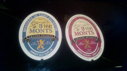 Lot X 2 étiquettes De Bière Brasserie St Sylvestre 3 Monts Bières Des Flandres Grande Réserve 10% & 8% - Beer