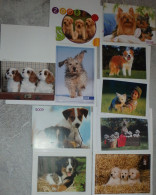 Petit Calendrier Poche Lot De 10 Petits Calendriers Chien Chiot 2007 à 2009 - Tamaño Pequeño : 2001-...