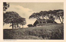 Ostseebad Ahrenshoop I.P. - Panorama - Pommern