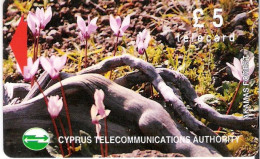 Cyprus: Cyta - 1993 Akamas Forest, Wild Flowers - Chipre