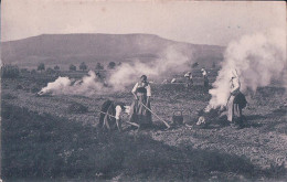 Scènes De La Campagne, Récolte Des Pommes-de-Terre (9245) - Landbouw