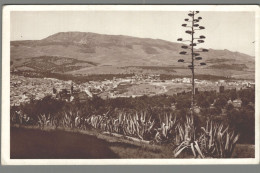 CPSM - Maroc - Fès - Vue Générale - Ville Indigène - Non Classificati