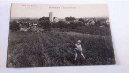 Carte Postale Ancienne ( AA5  ) De Appoigny , Vue Générale - Appoigny