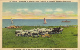 Dominican Republic, LA ISABELA, First Christian City In America, Sheep (1950s) Postcard - Dominican Republic