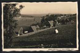 AK Schellerhau, Panorama Mit D. Kahleberg  - Schellerhau