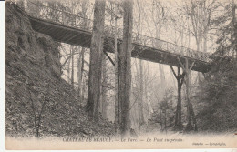 CPA CHATEAU DE BEAUGY LE PARC LE PONT SUSPENDU - Baugy