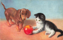 N°25197 - Animaux - Chien - Teckel Regardant Un Chat Jouant Avec Une Pomme - Dogs