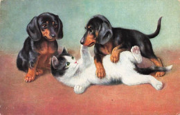 N°25198 - Animaux - Chien - Teckels Jouant Avec Un Chat - Dogs