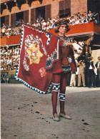 Siena Il Palio Contrada Della Torre - Siena