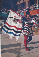 Siena Il Palio Contrada Dell'istrice - Siena