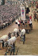 Siena Palio Il Carroccio - Siena