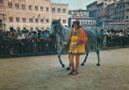 Siena Il Palio Cavallo Da Corsa Della Contrada Durante Il Corteo Storico - Siena