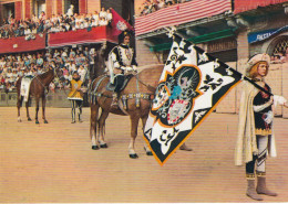 Siena Palio Paggio Maggiore Fantino Sul Cavallo Da Parata E Da Corsa - Siena