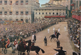 Siena  Palio Particolare Della Mossa - Siena