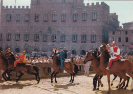 Siena Il Palio La Mossa - Siena