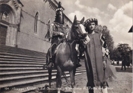 Arezzo Giostra Del Saracino Cavaliere Di Porta Del Foro - Arezzo