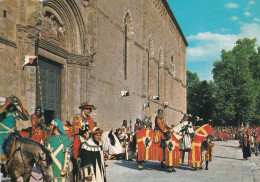 Arezzo Giostra Del Saracino - Arezzo