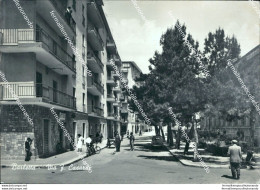 Bi283 Cartolina Barletta Via F.casadi Provincia Di Bari - Bari
