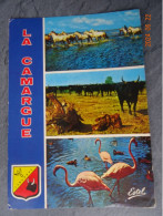 LA CAMARGUE - Altri