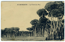 BEYROUTH - La Forêt Des Pins - Libanon