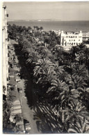 Foto Postal De  Explanada  De España  Alicante - Alicante