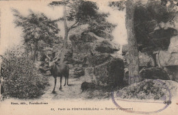 CPA FORET  DE FONTAINEBLEAU ROCHER D' APREMONT - Fontainebleau