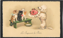 CHATS - Chien Caniche Offre Fleurs à 3 Chatons - Jugement De Pâris - Katten