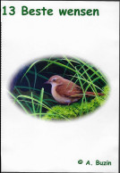 Souvenir A5 Plastifié /Geplastificeerd A5 Souvenir - Rossignol / Nachtegaal / Nachtigall / Nightingale - BUZIN - 1985-.. Birds (Buzin)