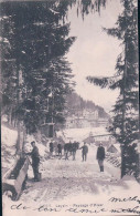 Leysin Sous La Neige, Attelage, Cheval Et Traineau, Fontaine En Bois (5035) - Leysin