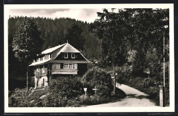 AK Blasiwald /Hochschwarzwald, Fremdenheim Haus Schwörer Im Wald  - Hochschwarzwald