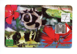 Lémurien Animal Télécarte Madagascar Phonecard  (W 668) - Madagascar