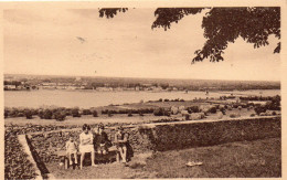 Saint-Florent-le-Vieil Animée Belle Vue Des Iles La Meilleraie - Autres & Non Classés