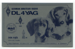 QSL - Allemagne - Chiens TECKEL - Radio Amateur