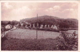 59 - MONT CASSEL - Vue Generale De La Cornette - Mont Des Recollets - Cassel