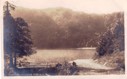 Bade-Wurtemberg - FELDBERG -  Feldsee Schwarzwald - Feldberg