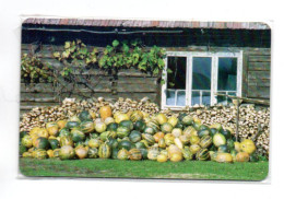 Fruit Télécarte Roumanie Phonecard  (W 701) - Autriche