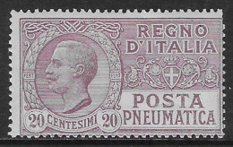 Italia Italy 1925 Regno Pneumatica Leoni C20 Sa N.PN8 Nuovo MH * - Pneumatic Mail