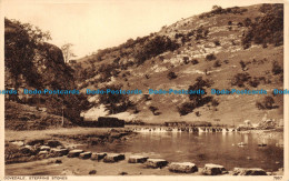 R145449 Dovedale. Stepping Stones. Photochrom. No 7957 - Monde