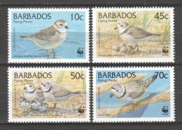Barbados 1999 Mi 952-955 MNH WWF - BIRDS - Unused Stamps