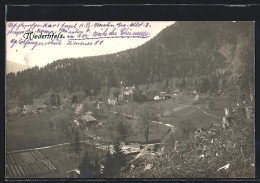 AK Niedernfels, Ortsansicht Mit Wald  - Autres & Non Classés