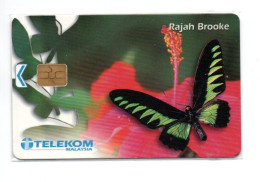 Papillon Butterfly Rajah Brooke  Télécarte Malaysia Phonecard  (W 703) - Maleisië