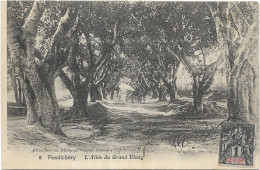 INDE. PONDICHERY. L ALLEE DU GRAND ETANG TIMBRE - Inde