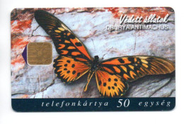 Papillon Butterfly Rajah Brooke  Télécarte Hongrie Phonecard  (W 704) - Roumanie