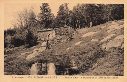 FRANCE - Pierre Sur Haute - Un Buron Dans La Montagne - Carte Postale Ancienne - Other & Unclassified