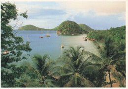 FRANCE - Couleurs De La Guadeloupe - La Baie Du Pain De Sucre - Les Saintes - Carte Postale Ancienne - Andere & Zonder Classificatie