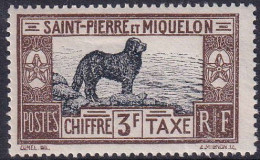 Saint Pierre Et Miquelon Taxes N°21/31 Chien De Terre Neuve11 Valeurs Qualité:** Cote:350 - Altri & Non Classificati