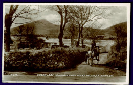 Ref 1653 - Real Photo Postcard - Sugar Loaf Mountain From Rocky Valley - Wicklow Ireland - Wicklow