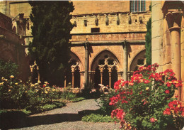 ESPAGNE - Tarragona - Real Monasterio De Poblet - Jardin Del Claustro Gotico - Carte Postale - Tarragona