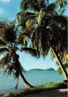 FRANCE - Guadeloupe - Côte Des Caraïbes - Caribbean Coast - Vue Sur La Plage - Cocotiers - Carte Postale Ancienne - Autres & Non Classés